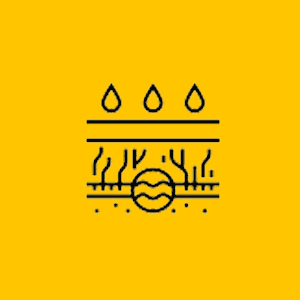 Gutter and Downpipe Repairs